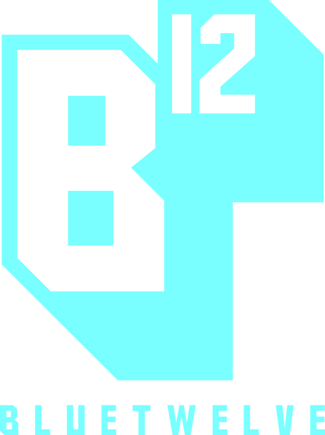 BlueTwelve Studio logo