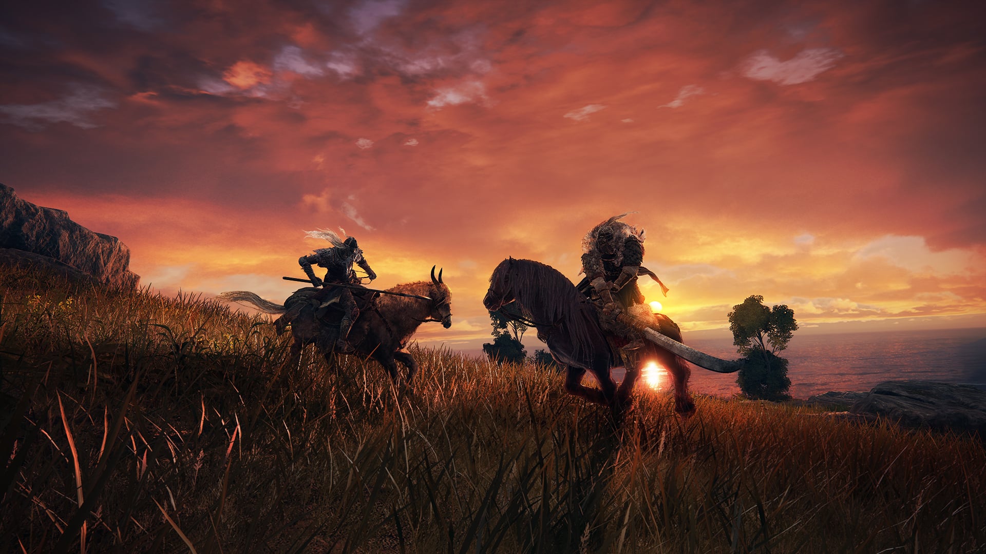 Elden Ring gameplay screenshot 9