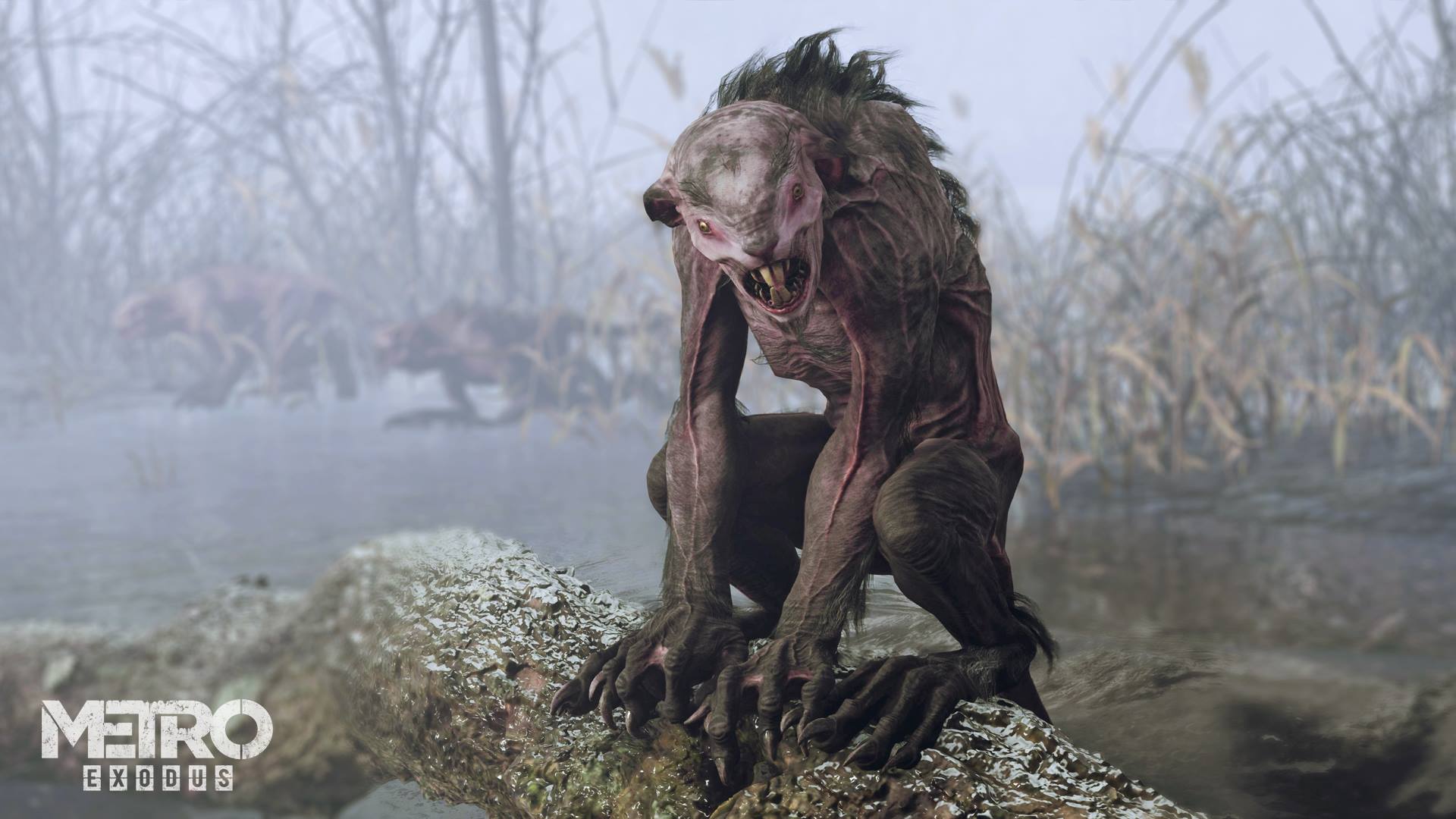 Metro Exodus artwork