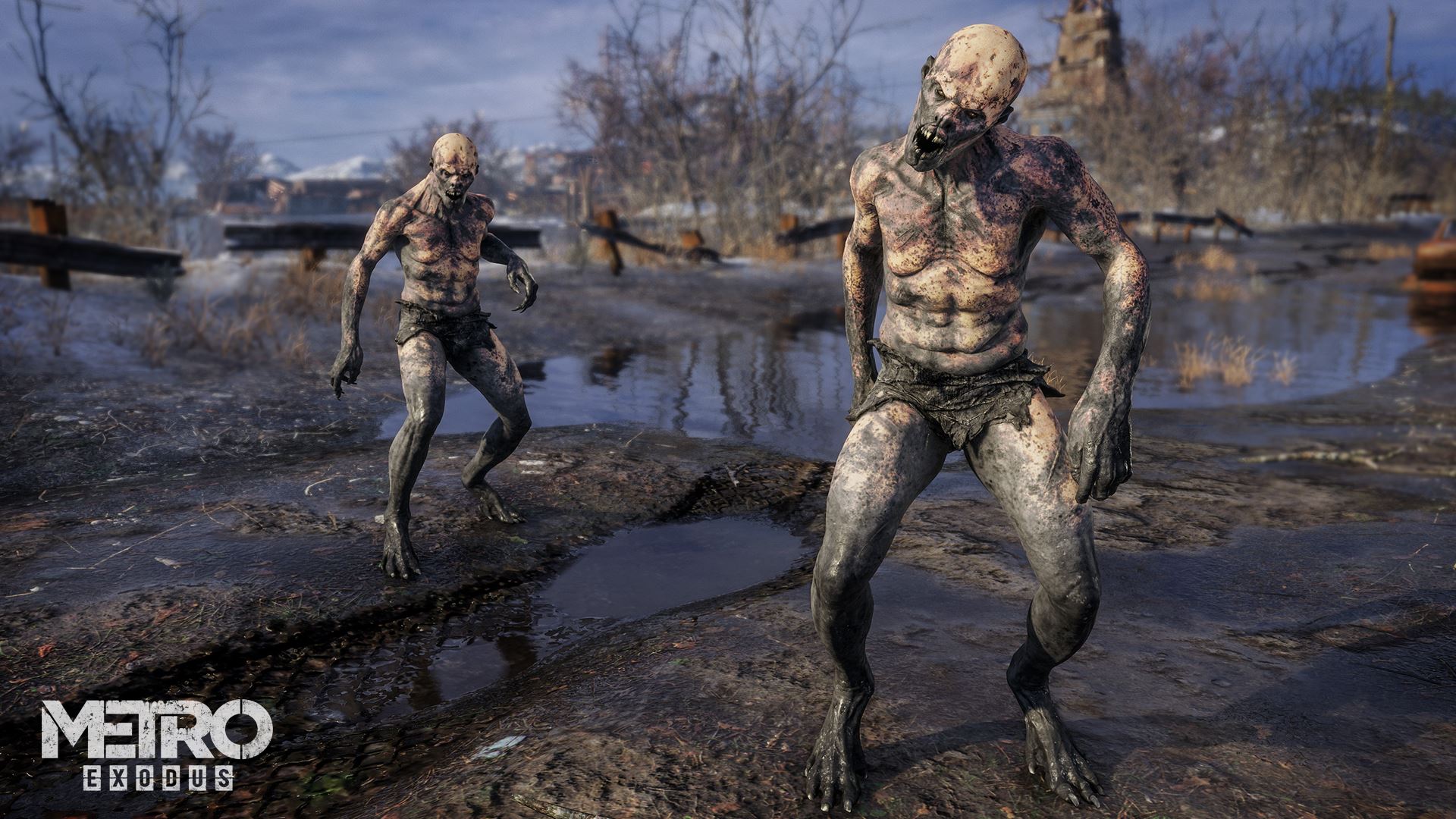 Metro Exodus artwork