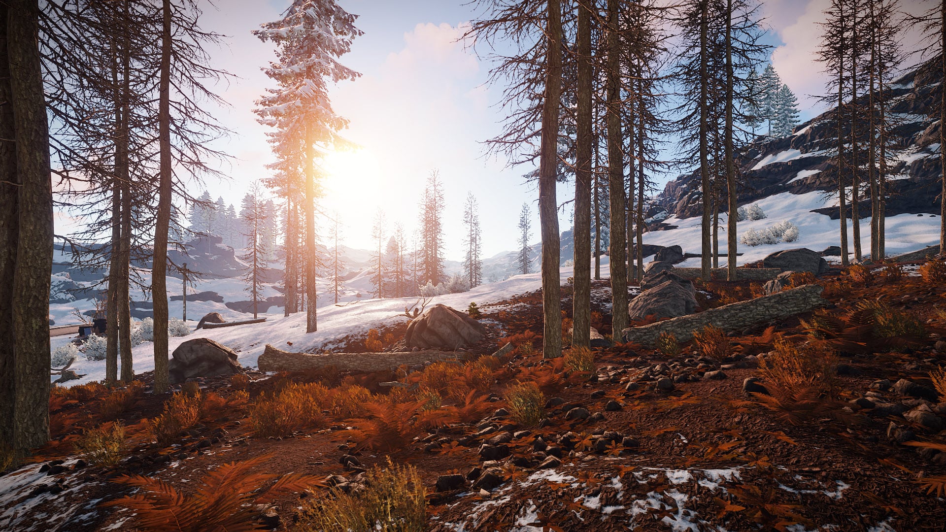 Rust screenshot