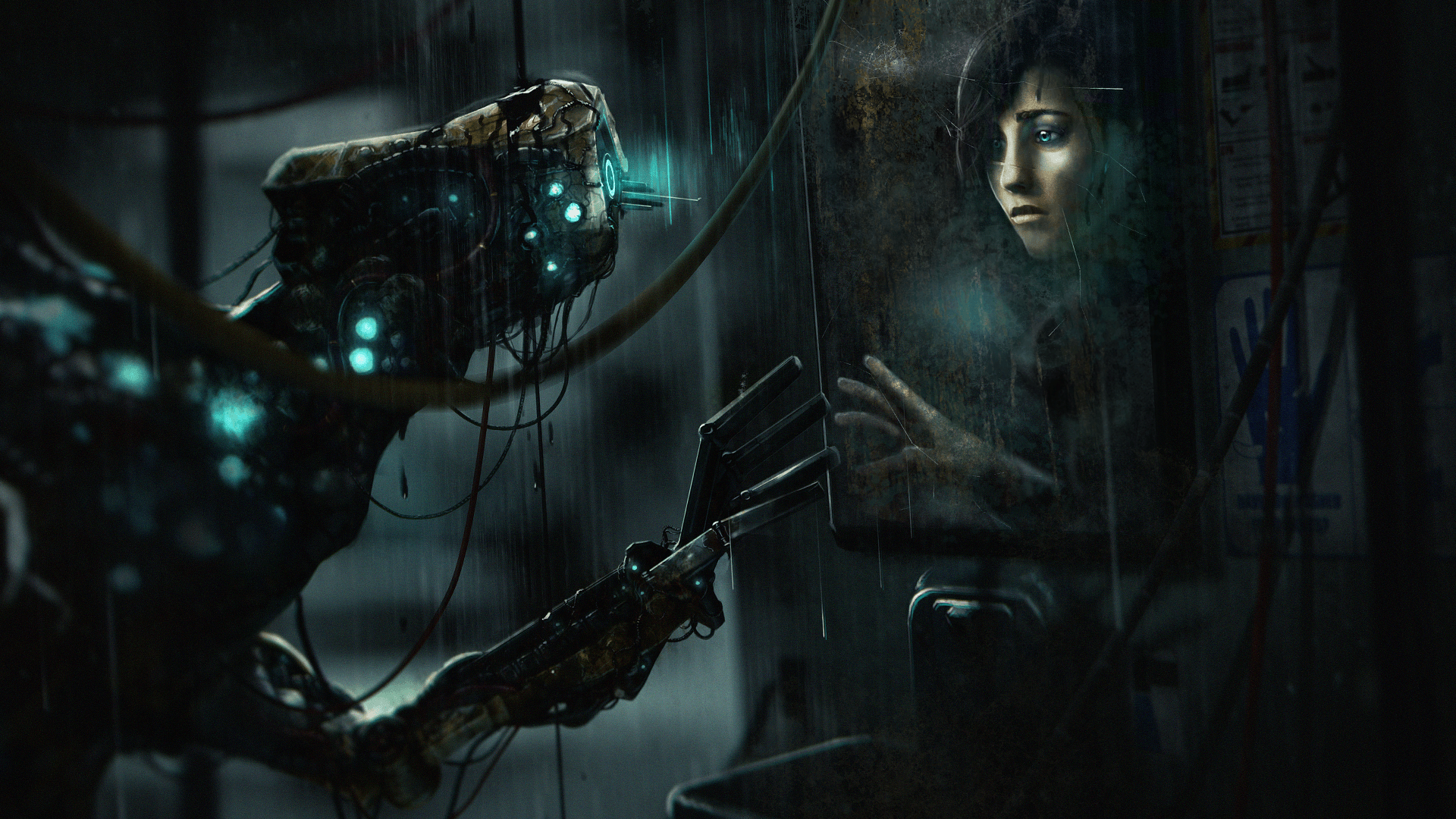Soma artwork