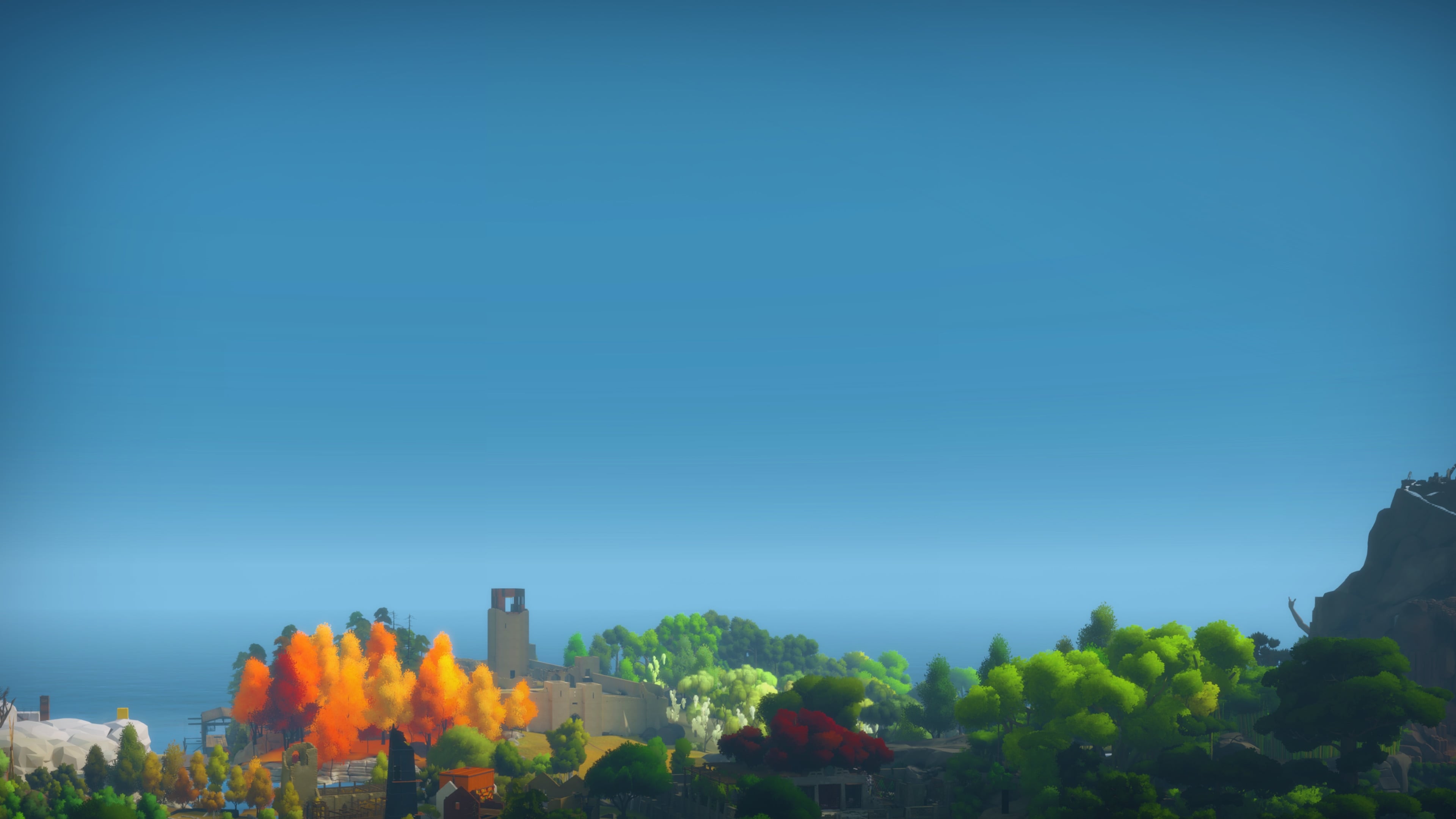 The Witness artwork