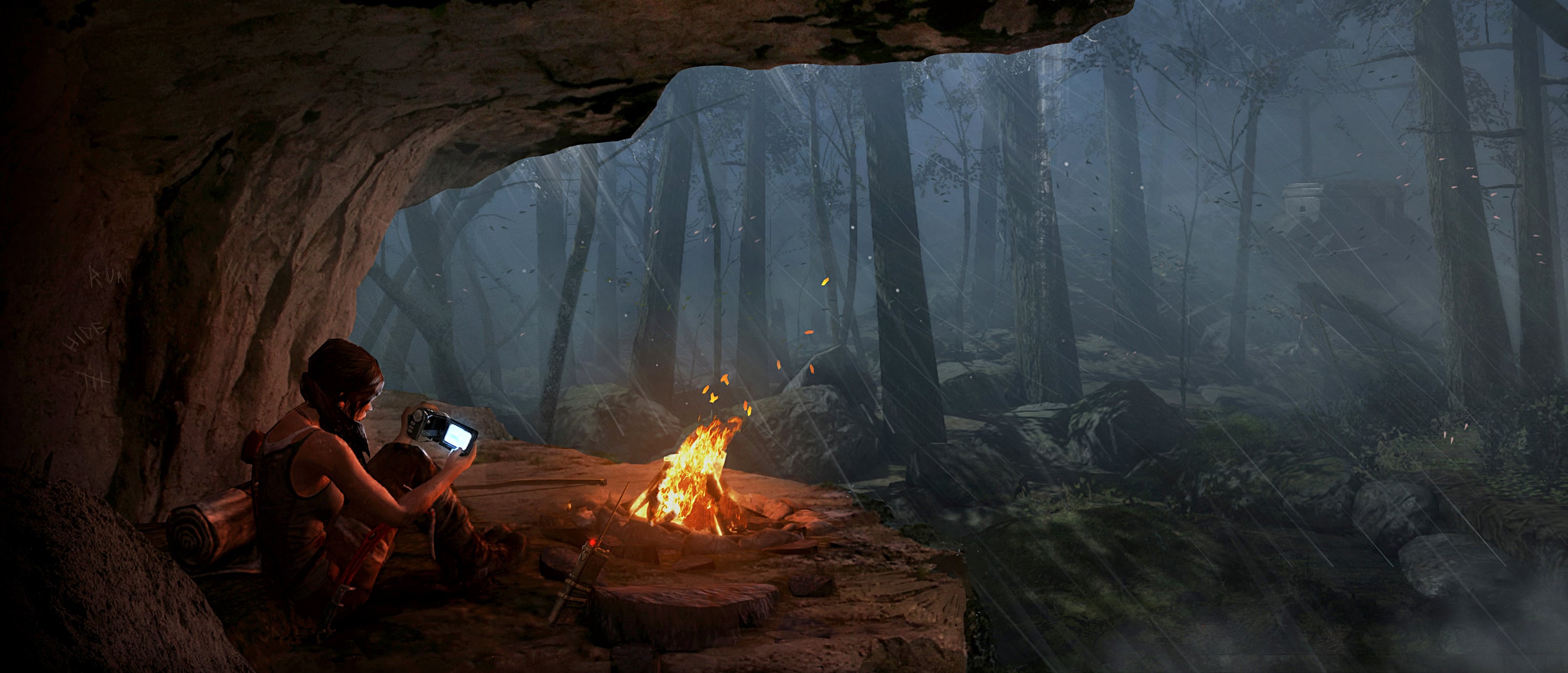 Tomb Raider artwork