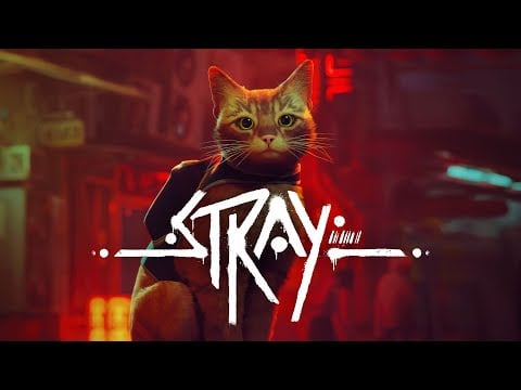 Stray - Launch Trailer