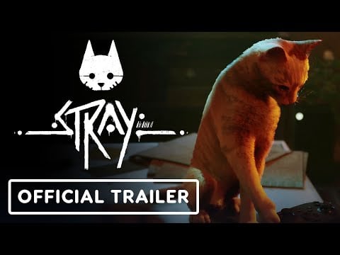 Stray - Release Date Trailer