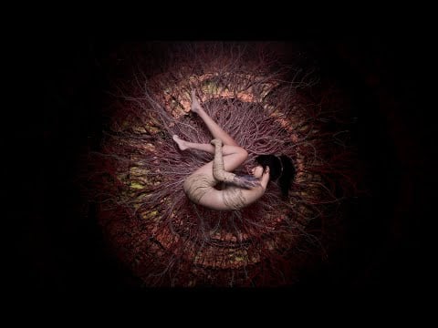 Wuchang: Fallen Feathers - Trailer
