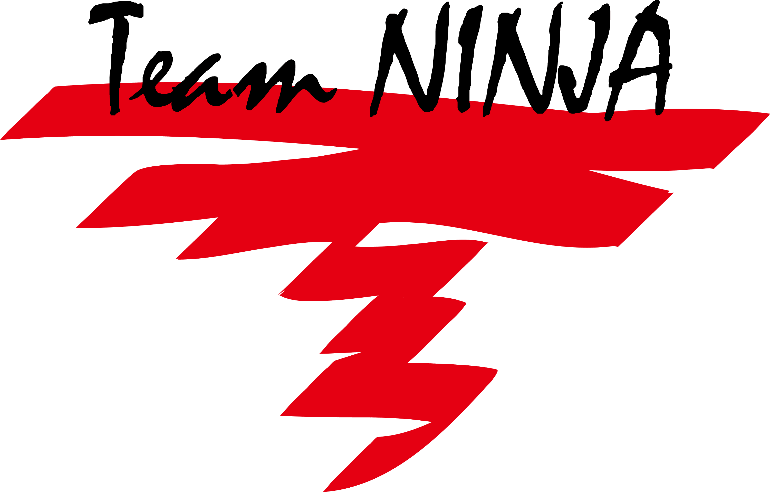 Team NINJA logo