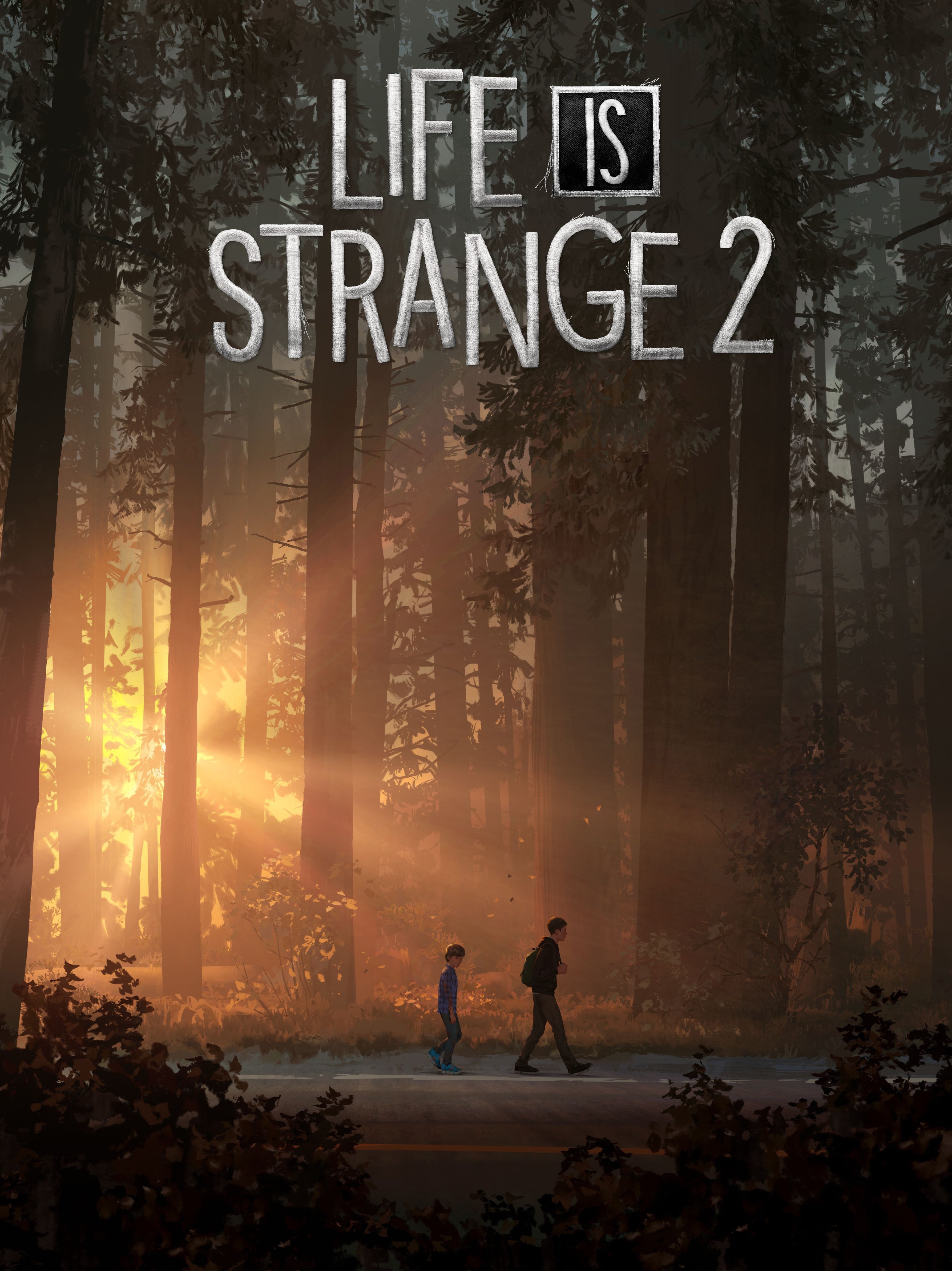 Life Is Strange 2 cover art