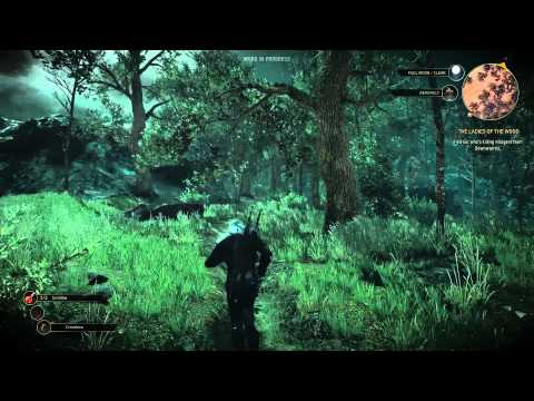 The Witcher 3: Wild Hunt - Downwarren Gameplay Video