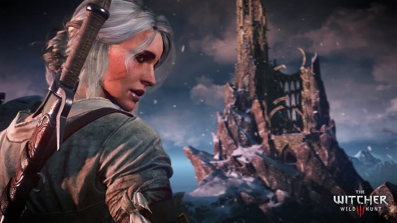 The Witcher 3: Wild Hunt screenshot